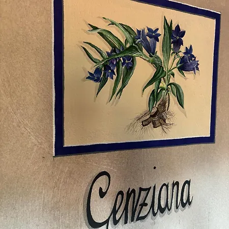 Tenuta Ca' Bella Farm stay
