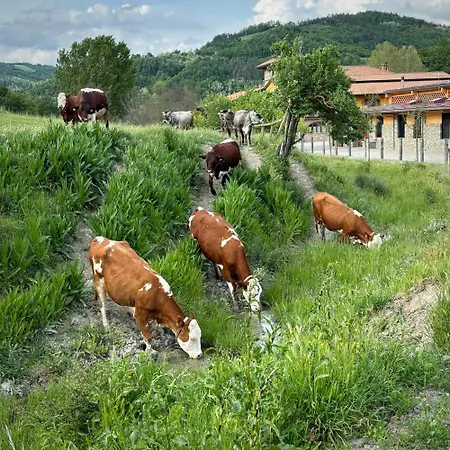 Bauernhof Tenuta Ca' Bella Dernice