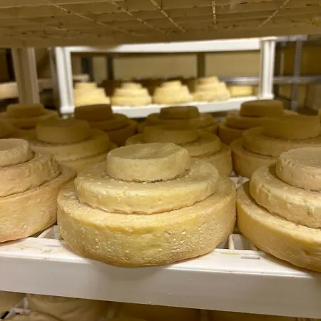 Κατάλυμα σε φάρμα Tenuta Ca' Bella