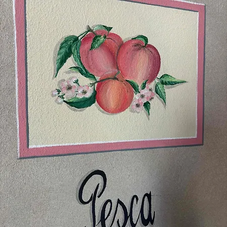 Tenuta Ca' Bella Gospodarstwo agroturystyczne