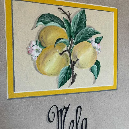 Tenuta Ca' Bella * Dernice