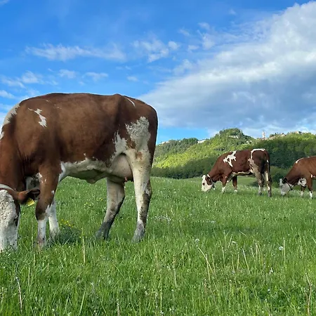 Κατάλυμα σε φάρμα Tenuta Ca' Bella Dernice