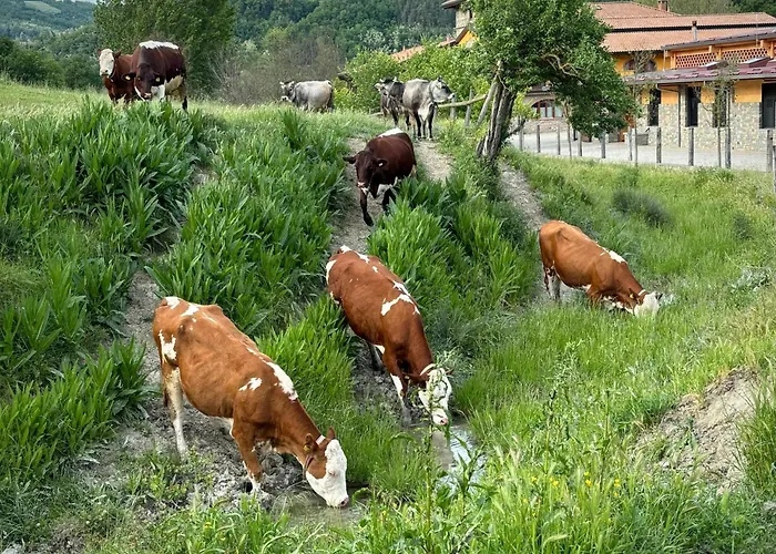 Farmház Tenuta Ca' Bella Dernice