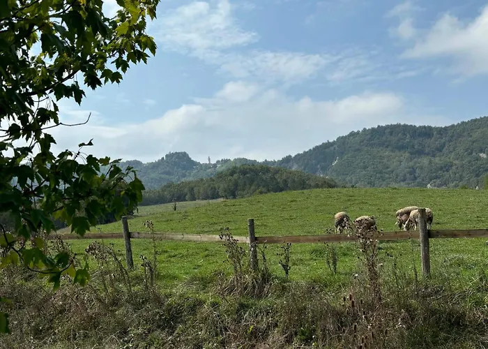 Tenuta Ca' Bella
