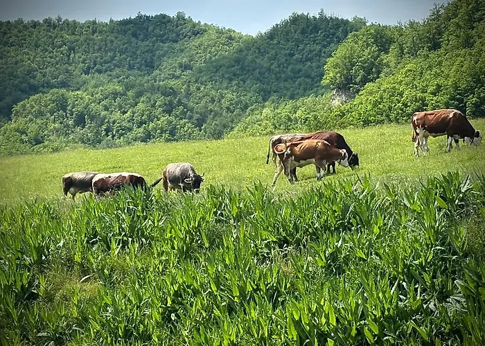 Tenuta Ca' Bella Farmház Dernice