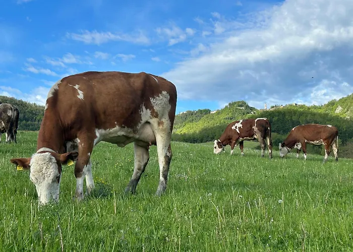 Séjour à la ferme Tenuta Ca' Bella Dernice